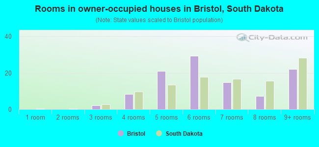 Rooms in owner-occupied houses in Bristol, South Dakota