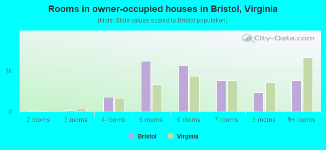 Rooms in owner-occupied houses in Bristol, Virginia