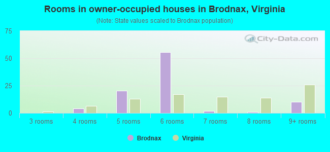 Rooms in owner-occupied houses in Brodnax, Virginia