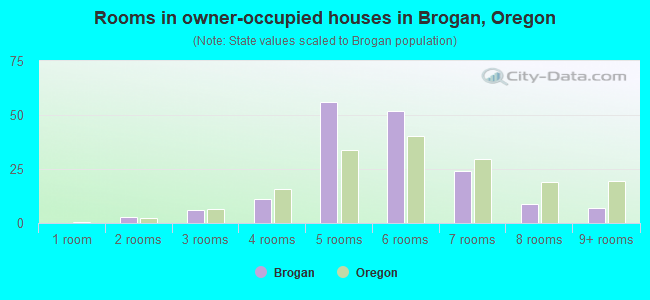 Rooms in owner-occupied houses in Brogan, Oregon