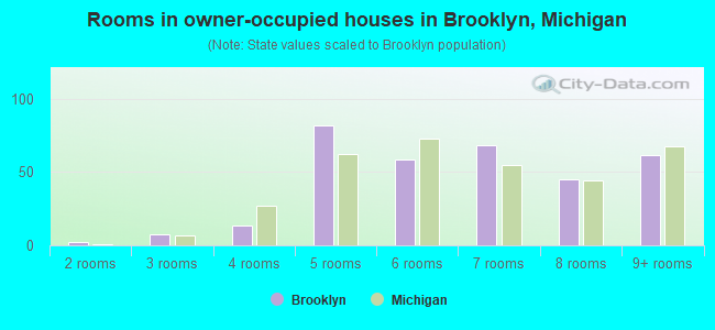 Rooms in owner-occupied houses in Brooklyn, Michigan
