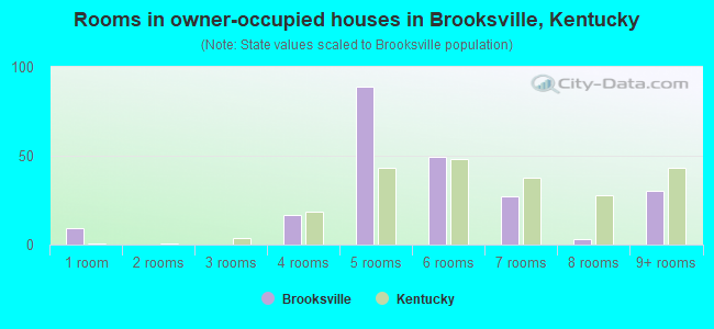 Rooms in owner-occupied houses in Brooksville, Kentucky