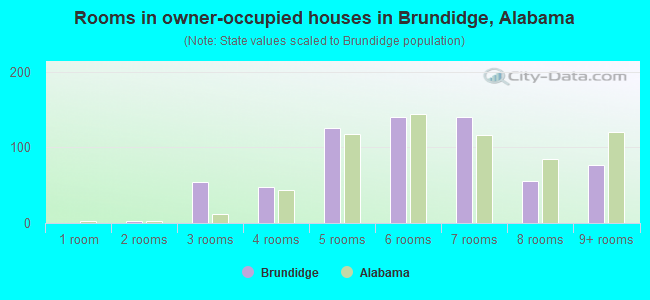 Rooms in owner-occupied houses in Brundidge, Alabama