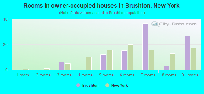 Rooms in owner-occupied houses in Brushton, New York