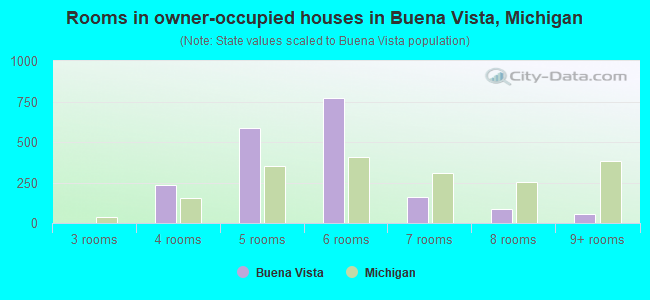 Rooms in owner-occupied houses in Buena Vista, Michigan