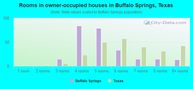 Rooms in owner-occupied houses in Buffalo Springs, Texas