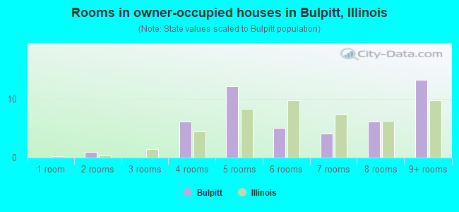 Rooms in owner-occupied houses in Bulpitt, Illinois