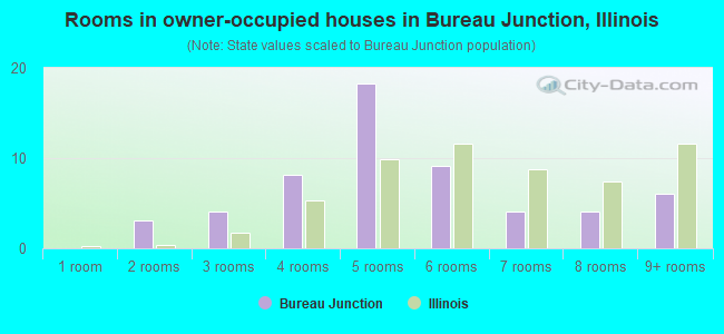 Rooms in owner-occupied houses in Bureau Junction, Illinois