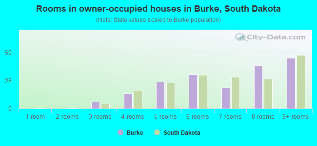 Rooms in owner-occupied houses in Burke, South Dakota