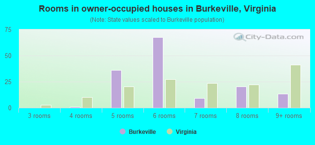 Rooms in owner-occupied houses in Burkeville, Virginia