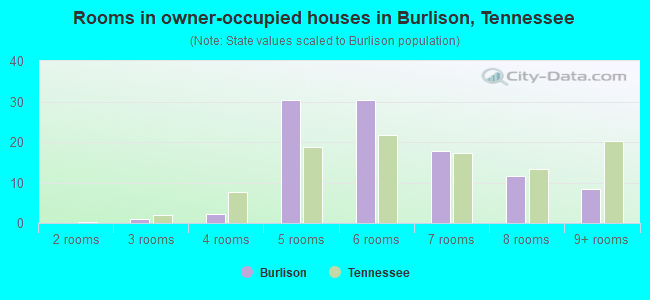 Rooms in owner-occupied houses in Burlison, Tennessee