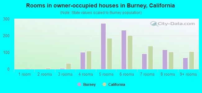 Rooms in owner-occupied houses in Burney, California