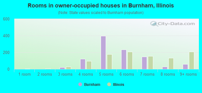 Rooms in owner-occupied houses in Burnham, Illinois