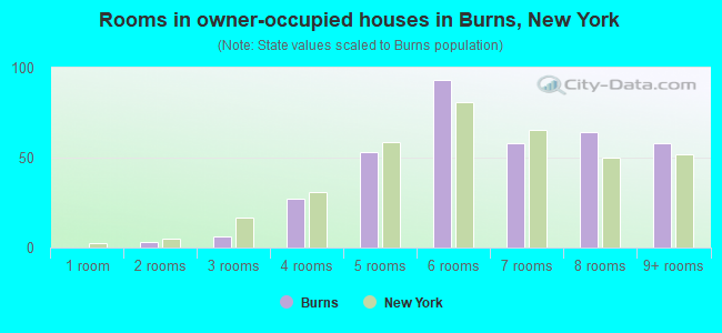 Rooms in owner-occupied houses in Burns, New York