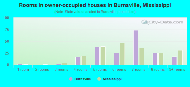Rooms in owner-occupied houses in Burnsville, Mississippi