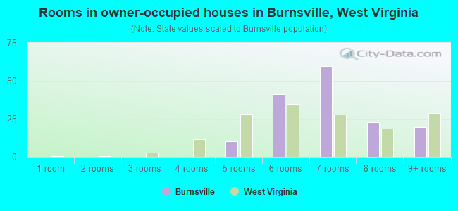 Rooms in owner-occupied houses in Burnsville, West Virginia
