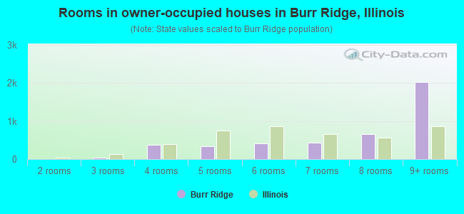 Rooms in owner-occupied houses in Burr Ridge, Illinois