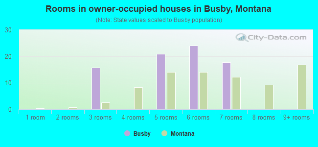 Rooms in owner-occupied houses in Busby, Montana