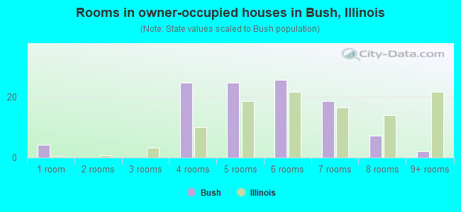 Rooms in owner-occupied houses in Bush, Illinois