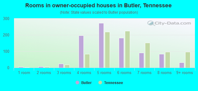 Rooms in owner-occupied houses in Butler, Tennessee