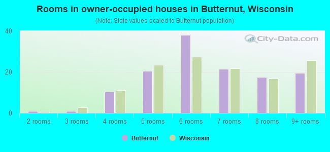 Rooms in owner-occupied houses in Butternut, Wisconsin