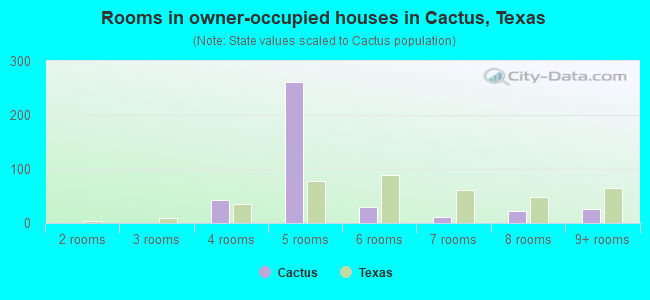 Rooms in owner-occupied houses in Cactus, Texas