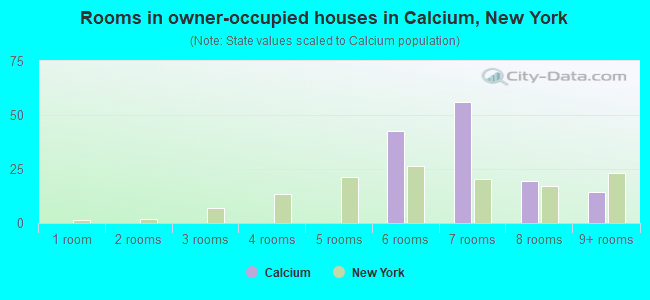 Rooms in owner-occupied houses in Calcium, New York