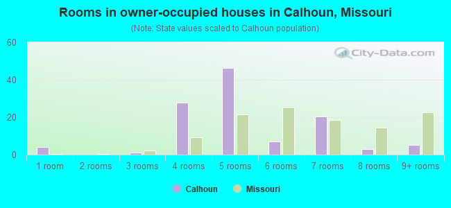 Rooms in owner-occupied houses in Calhoun, Missouri