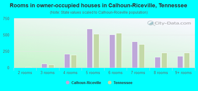 Rooms in owner-occupied houses in Calhoun-Riceville, Tennessee