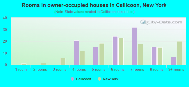 Rooms in owner-occupied houses in Callicoon, New York