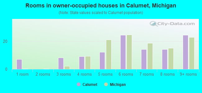 Rooms in owner-occupied houses in Calumet, Michigan