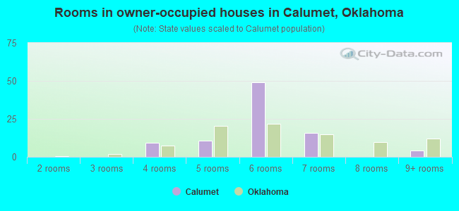 Rooms in owner-occupied houses in Calumet, Oklahoma