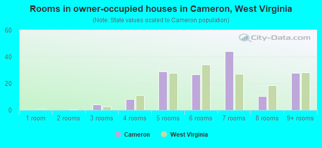 Rooms in owner-occupied houses in Cameron, West Virginia