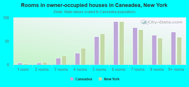Rooms in owner-occupied houses in Caneadea, New York