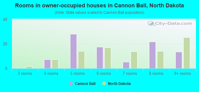 Rooms in owner-occupied houses in Cannon Ball, North Dakota