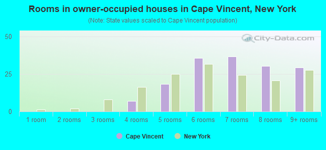 Rooms in owner-occupied houses in Cape Vincent, New York