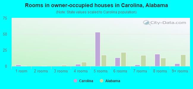 Rooms in owner-occupied houses in Carolina, Alabama