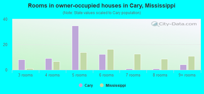 Rooms in owner-occupied houses in Cary, Mississippi