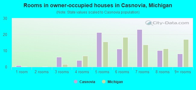 Rooms in owner-occupied houses in Casnovia, Michigan