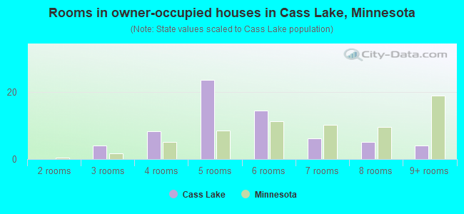 Rooms in owner-occupied houses in Cass Lake, Minnesota