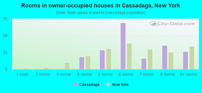 Rooms in owner-occupied houses in Cassadaga, New York