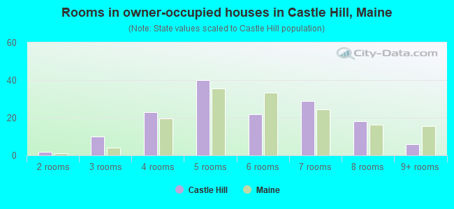 Rooms in owner-occupied houses in Castle Hill, Maine