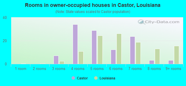 Rooms in owner-occupied houses in Castor, Louisiana