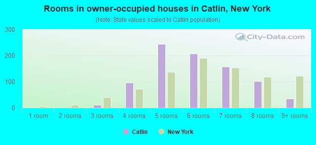 Rooms in owner-occupied houses in Catlin, New York