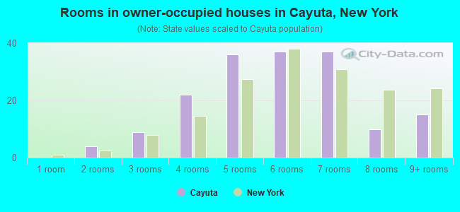 Rooms in owner-occupied houses in Cayuta, New York
