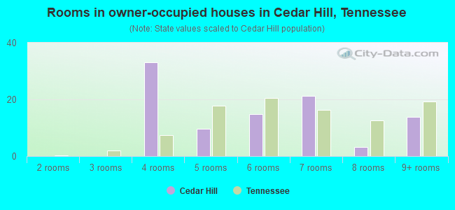 Rooms in owner-occupied houses in Cedar Hill, Tennessee