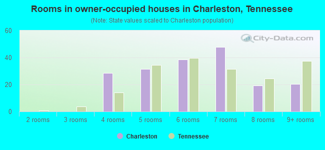 Rooms in owner-occupied houses in Charleston, Tennessee