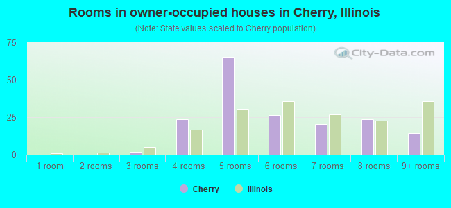 Rooms in owner-occupied houses in Cherry, Illinois