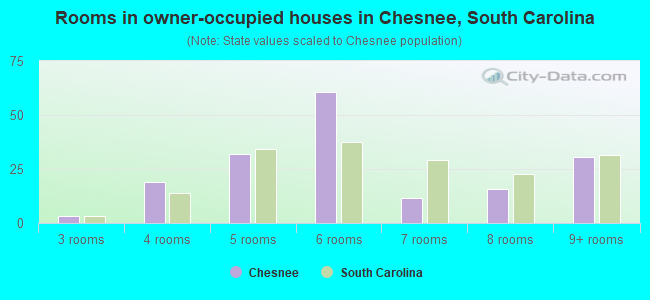 Rooms in owner-occupied houses in Chesnee, South Carolina