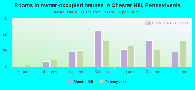 Rooms in owner-occupied houses in Chester Hill, Pennsylvania